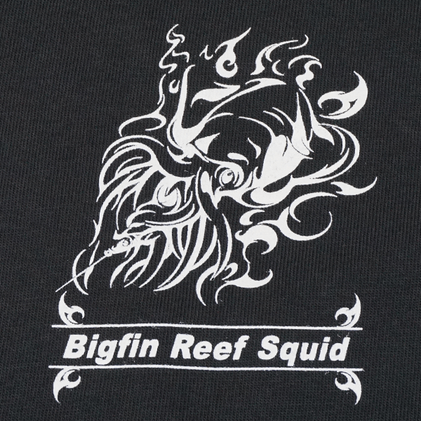 Tシャツ（アオリイカ）プリント